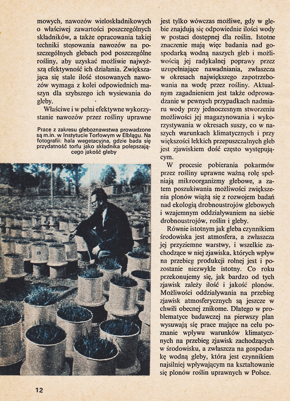 obrazek14.jpg