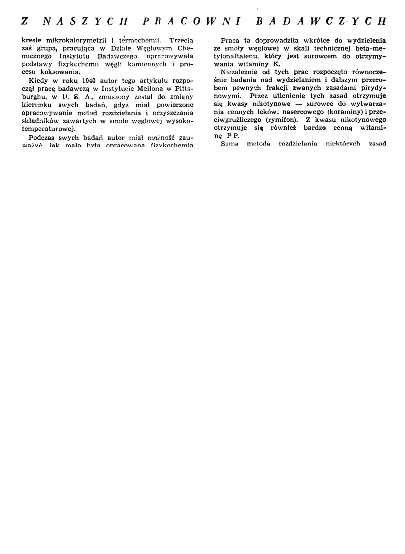 obrazek10.webp