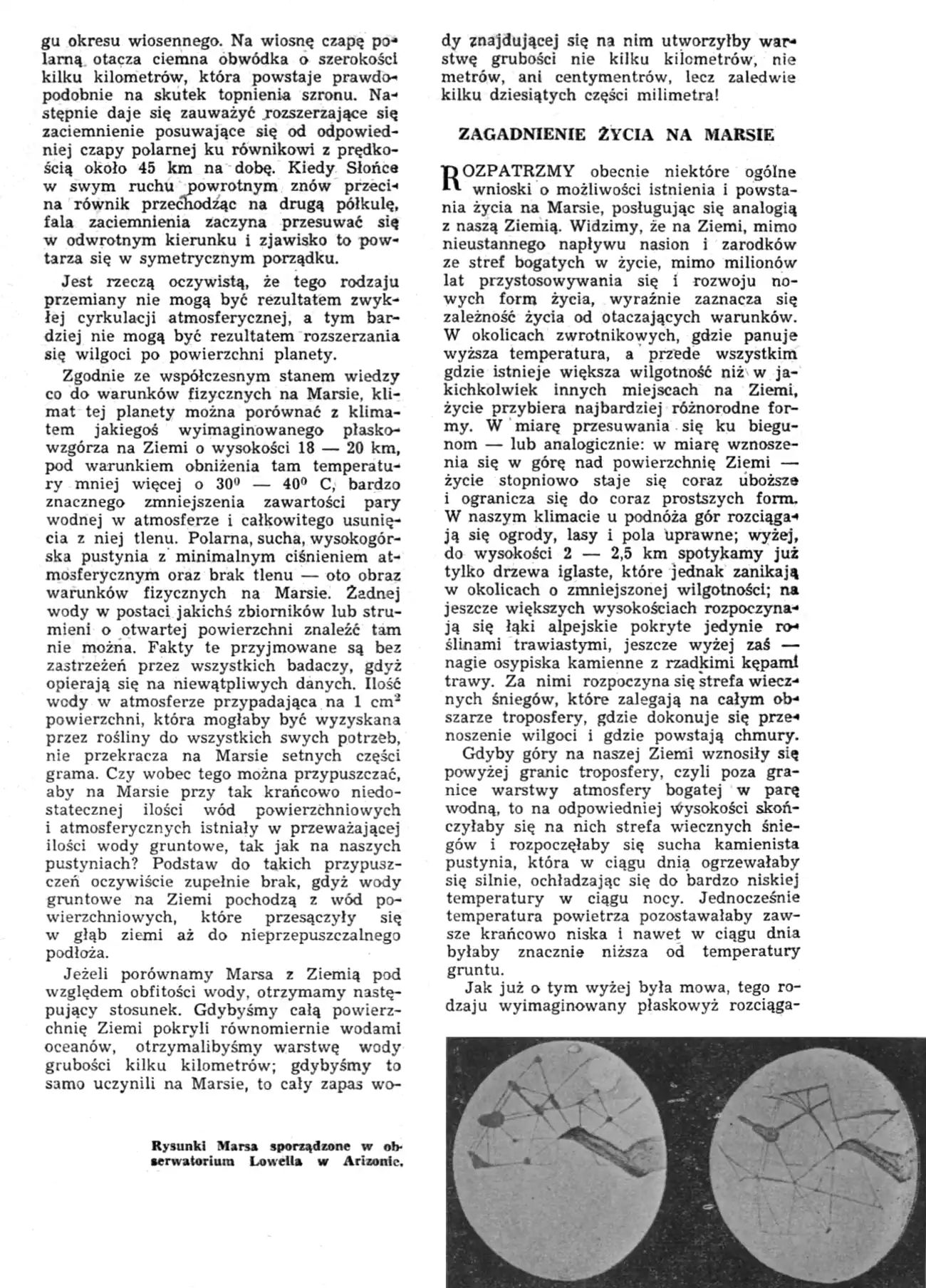 obrazek19.webp