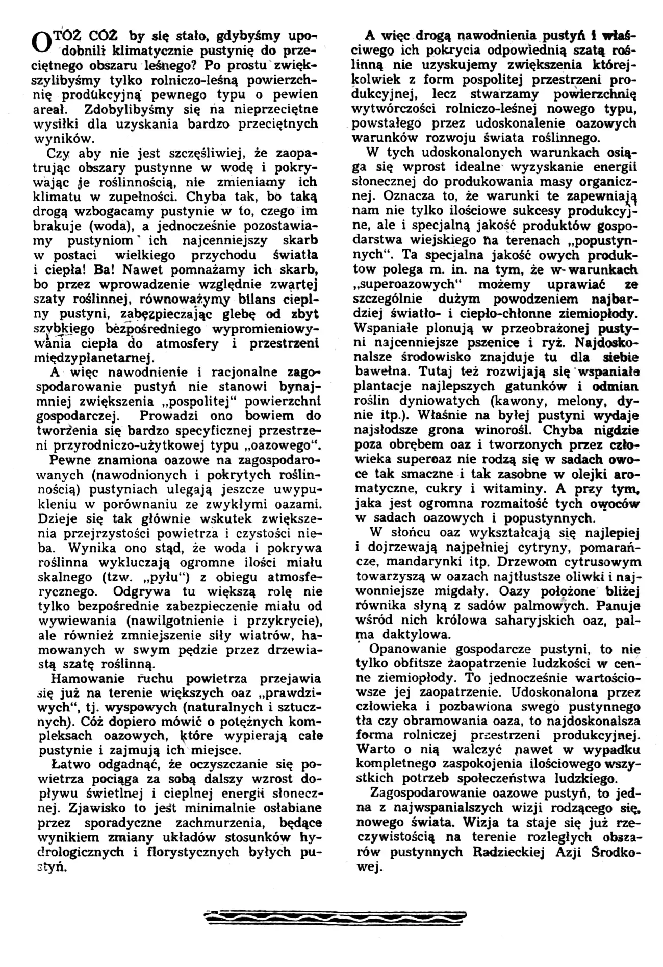 obrazek28.webp