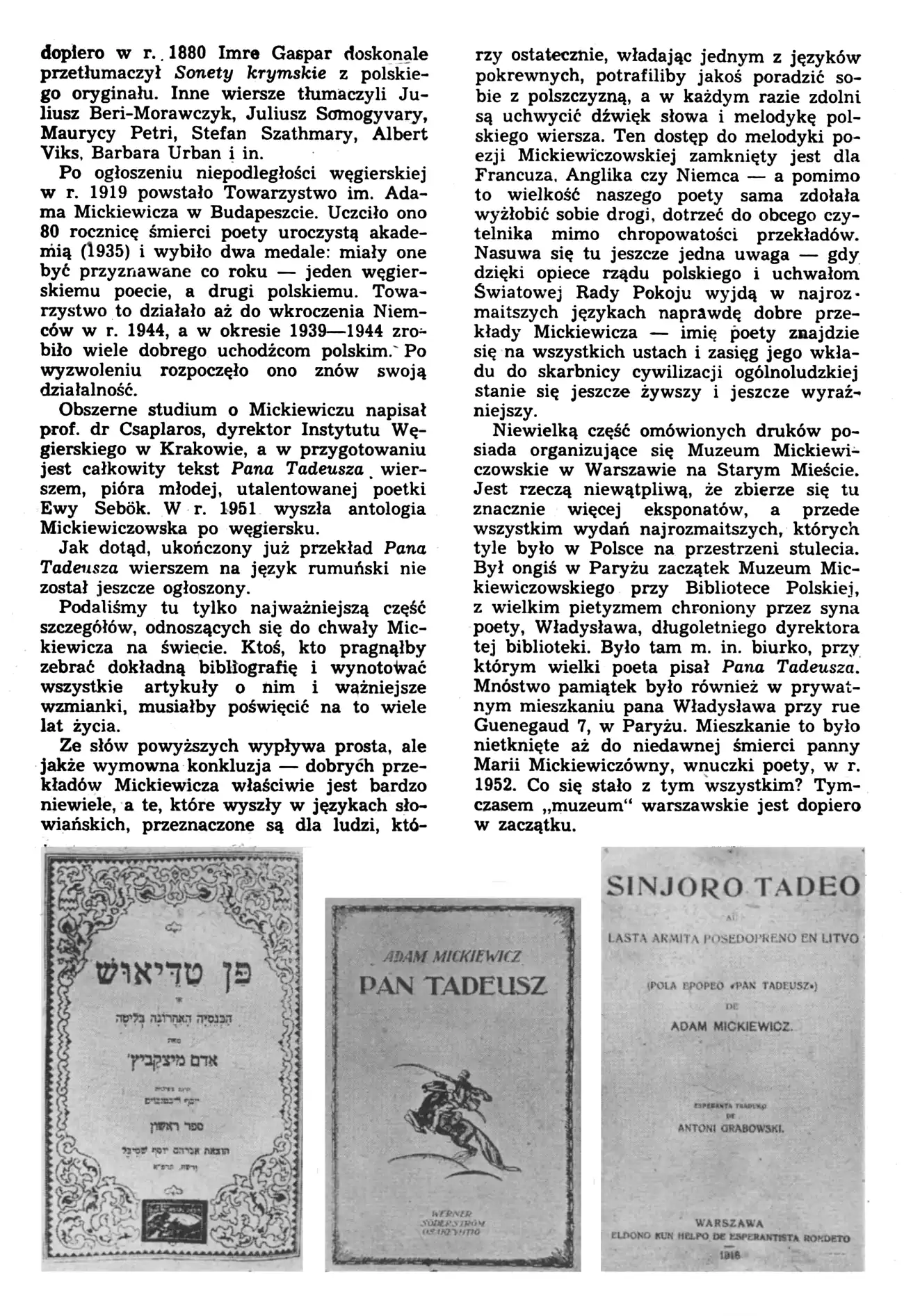 obrazek8.webp